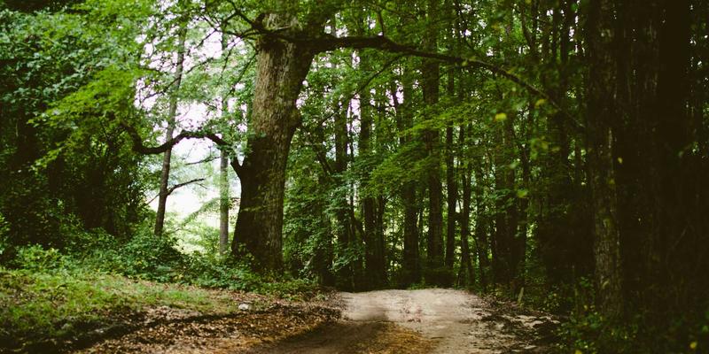 EMS电子制造服务:如何选择可靠的合作伙伴实现电子产品高效制造