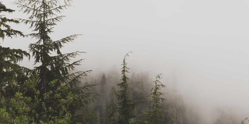 电子产品制造82：解析电子制造服务（EMS）中的PCBA与元器件供应协同之道