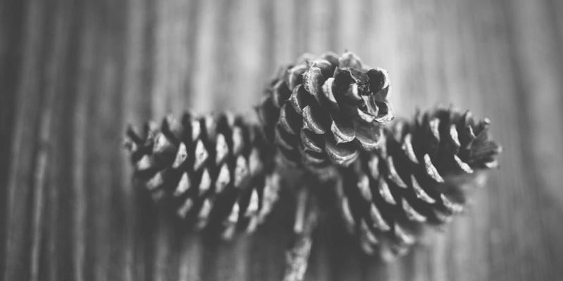 电子产品制造:从核心元件到一体化服务的现代产业链解析