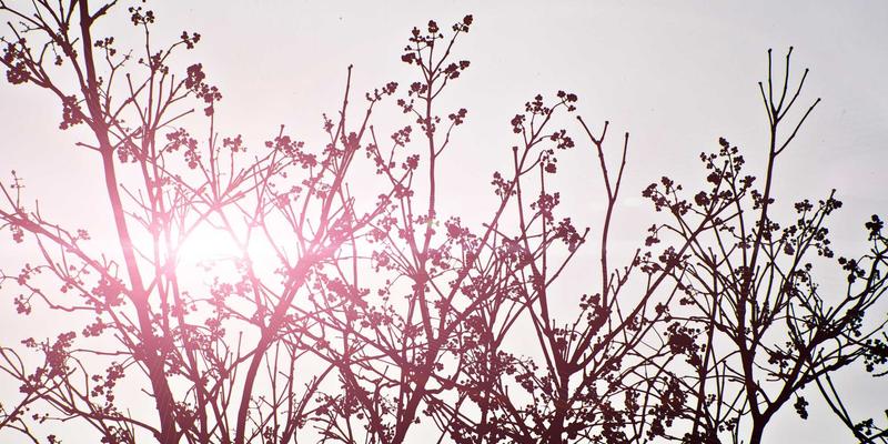 电子产品制造新纪元：电子元件、供应链与PCBA的协同进化