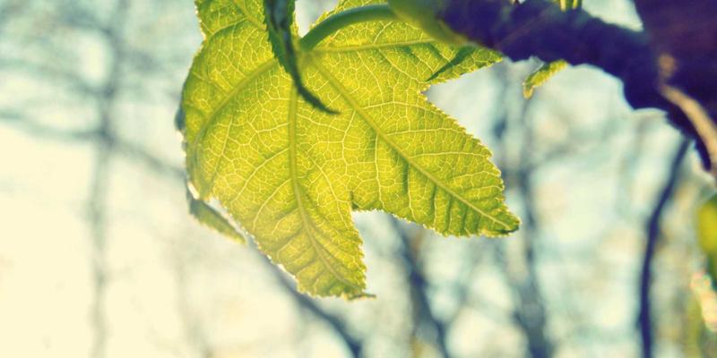 元器件供应与CEC-SFF标准下，基于机器视觉的PCBA在线检测与缺陷分类系统