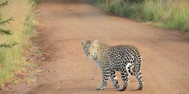 元器件供应与供应链视角下的线束电缆组装工艺：从手工到自动化的效率与质量革命