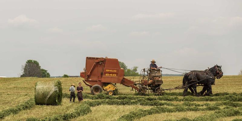 揭秘高密度互连（HDI）PCB制造工艺：EMS与供应链如何赋能电子产品集成度革命
