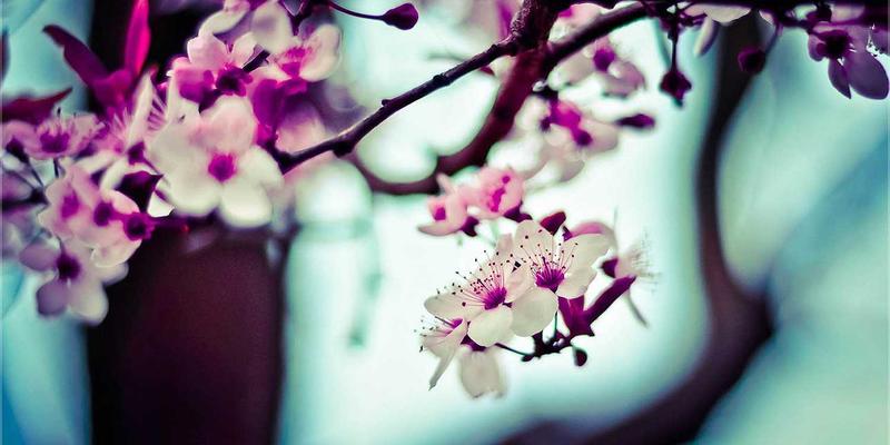 攻克柔性电路板制造与组装的特殊挑战：从供应链到PCBA的EMS应对工艺