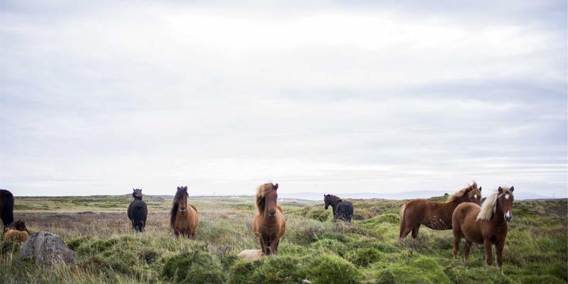 电子产品制造中的环境应力筛选（ESS）：供应链与PCBA可靠性的关键保障