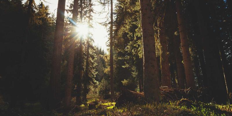 电子产品轻量化制造技术：新材料与新结构如何重塑PCBA与电子元件设计