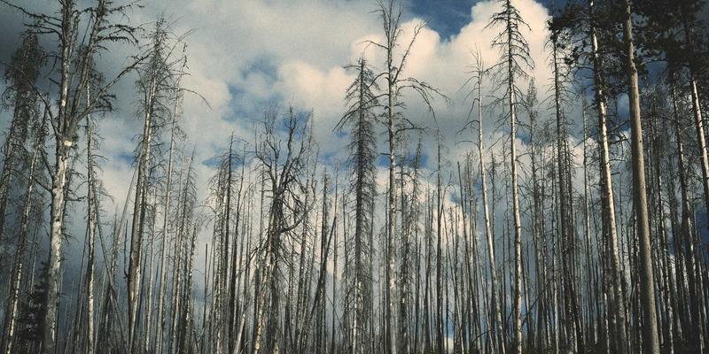 电子元件供应链关键工艺：底部填充胶如何保障BGA封装可靠性